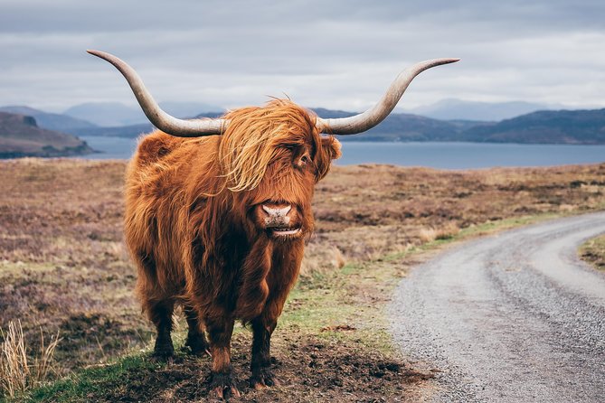 Glasgow: Isle of Skye, The Highlands and Loch Ness - 3 Day Tour - Portree as a base: what your 2 nights are really buying