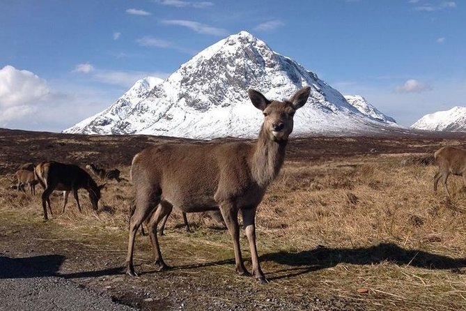 Glasgow: Loch Ness, Glencoe, and the Highlands Day Tour - Pitlochry and the VisitScotland iCentre: the gentle wrap-up stop