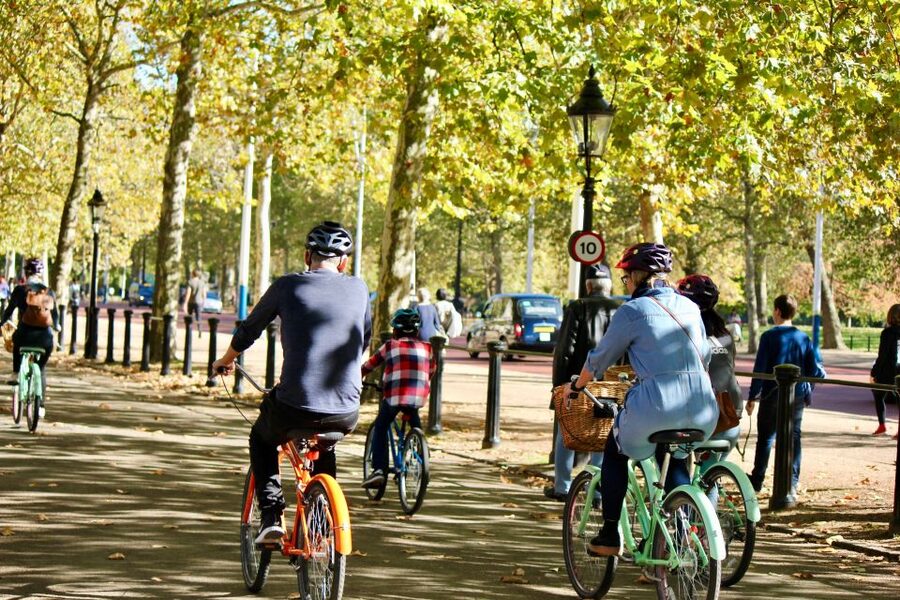 Grand London Half-Day Bicycle Tour - Big Ben and the Houses of Parliament, seen the practical way