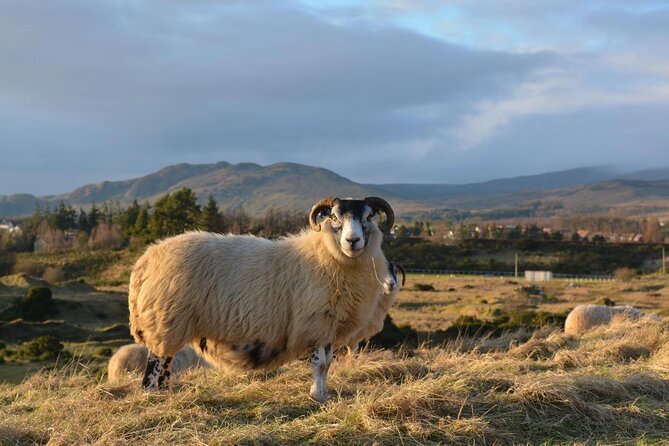 GREENOCK (GLASGOW) SHORE EXCURSION: Scotland Adventure Sightseeing Day Trip Tour - Key points to know before you go