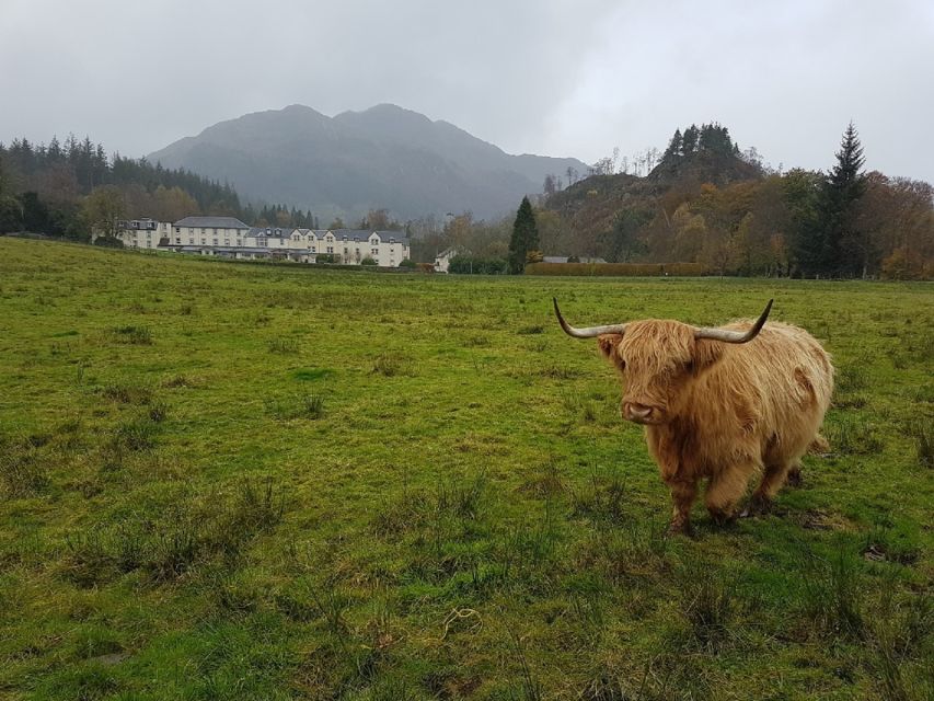 Greenock: Shore Excursion to Stirling Castle and Loch Lomond - Key Things You’ll Actually Care About