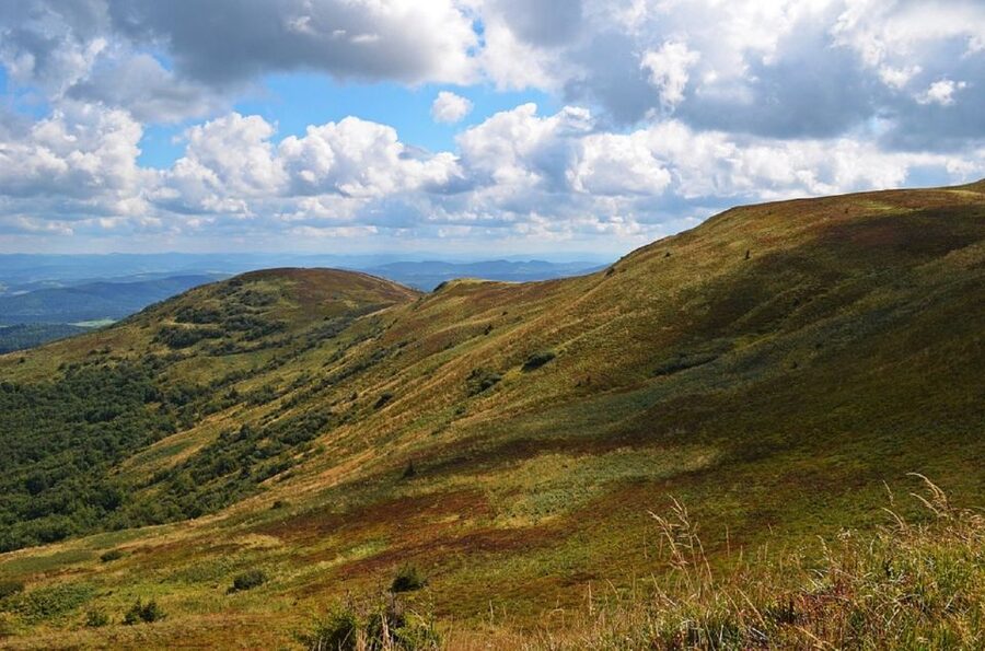 Greenock: Shore Excursion to Stirling Castle and Loch Lomond - Why the guide matters more than you think