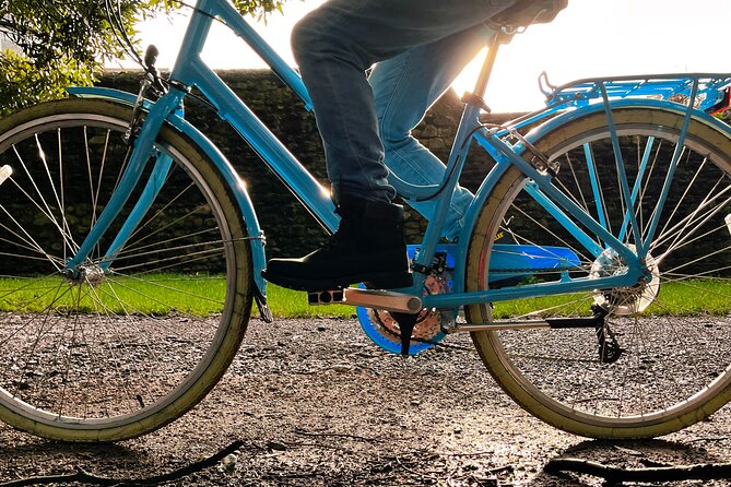 Guided Cycle Tours of Cardiff - Stop 4: Cardiff Bay Wetland Reserve, where the city gets softer