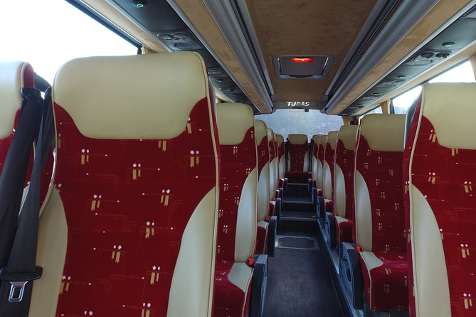 Guided Day Tour of Giant's Causeway from Belfast by Comfortable Coach - Dunluce Castle in 10 minutes: good for photos, not for lingering