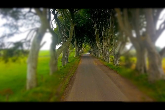 Guided Day Tour of Giant's Causeway from Belfast by Comfortable Coach - Price and value: is $59.64 a smart buy?