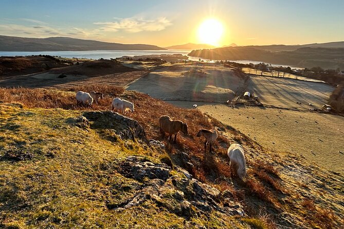 Guided Hebridean Farm Hike near Tobermory, Isle of Mull, Scotland - What to bring, how to plan for footing, and who should go