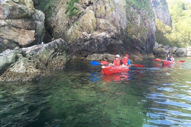 Guided Wildlife and Sea Cave Kayak Safari in English Riviera - Entering Caves, Then Adjusting With Tide and Weather