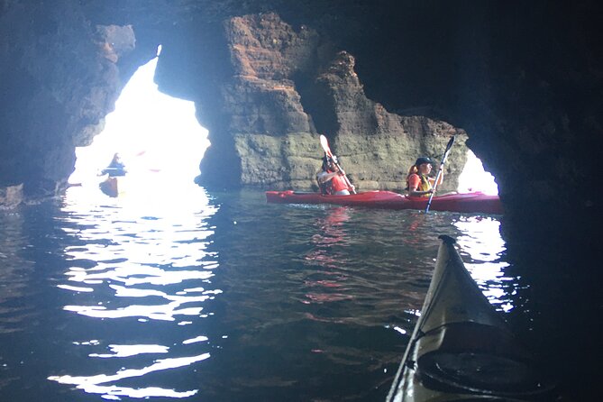 Guided Wildlife and Sea Cave Kayak Safari in English Riviera - What to Wear and Bring for a Wet, Active 3 Hours