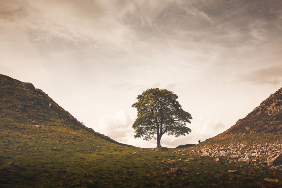Hadrian's Wall & Roman Britain 1-Day Tour from Edinburgh - Group Size, Guides, and Why the Stories Matter