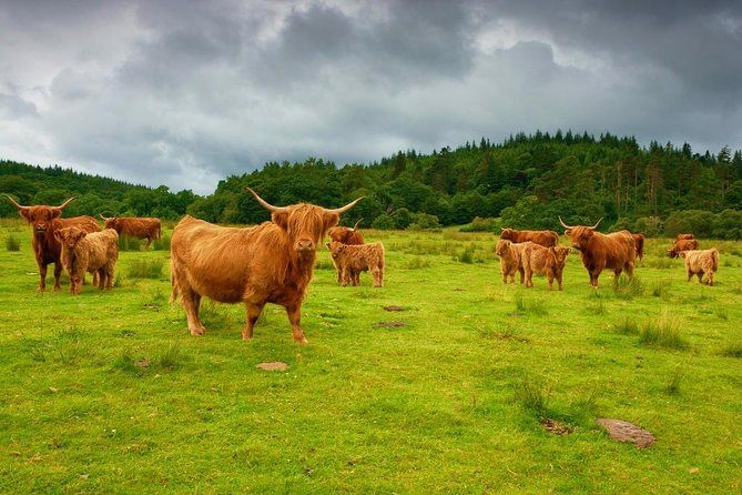 Highlights of Scotland Custom Private Tour from Edinburgh - Duke’s Pass drive and Loch Katrine, where the views tie to famous stories