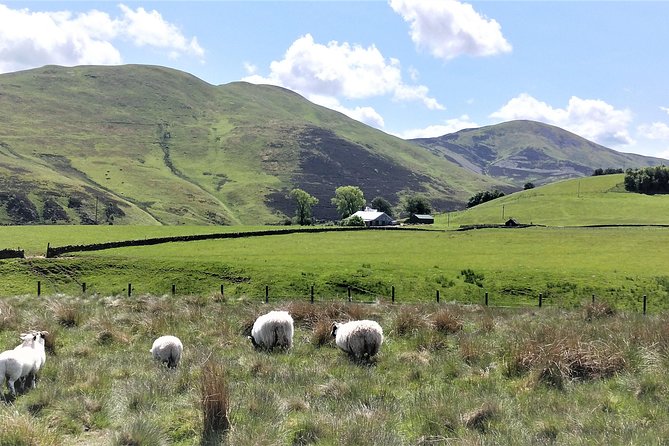 Hill & Nature Hike - Discover Real Edinburgh With a Local Expert - “Real Edinburgh” views you can use for the rest of your trip