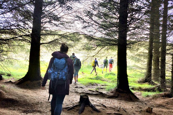 Hill & Nature Hike - Discover Real Edinburgh With a Local Expert - Weather and trail gear: how to stay comfortable in unpredictable Scotland