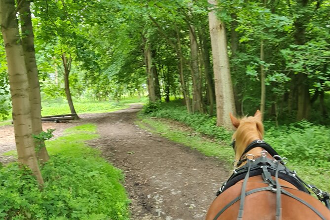 Horse drawn carriage ride york - Price and Value: What $138.76 Really Buys