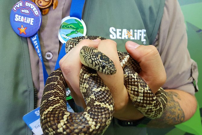 Hunstanton SEA LIFE Sanctuary General Admission Ticket - First Steps Inside Hunstanton SEA LIFE Sanctuary