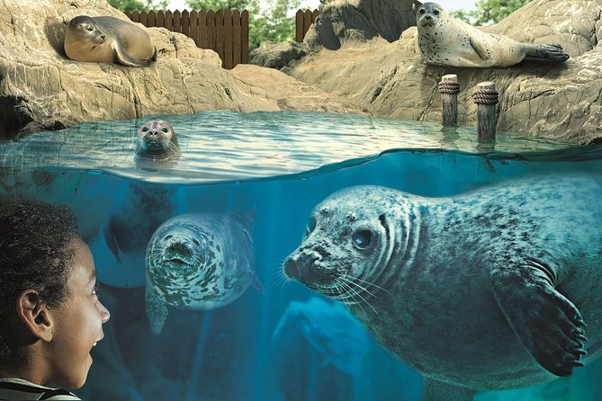 Hunstanton SEA LIFE Sanctuary General Admission Ticket - Ocean Tunnel and Ernie’s 187,500 litres of natural seawater