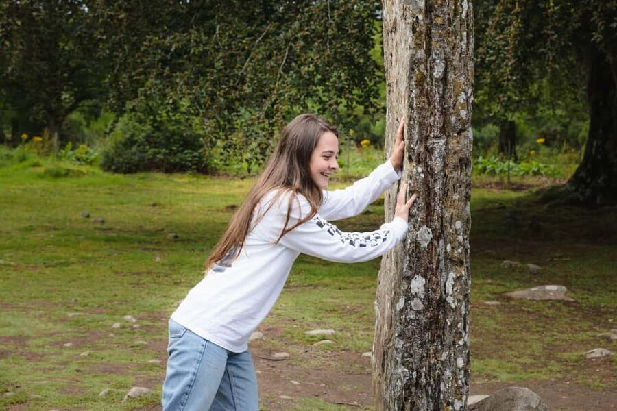 Inverness: Loch Ness, Outlander & Whisky Distillery - Clava Cairns: short visit, big archaeology payoff