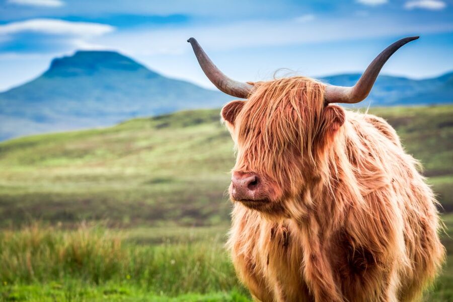 Isle of Skye & The Highlands: 3-Day Guided Tour from Glasgow - Culloden Battlefield, Cairngorm Mountains, and Pitlochry on the return