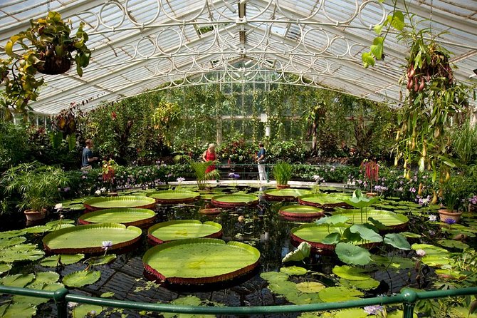 Kew Gardens Entrance Ticket - Turning 3 to 4 hours into a satisfying visit