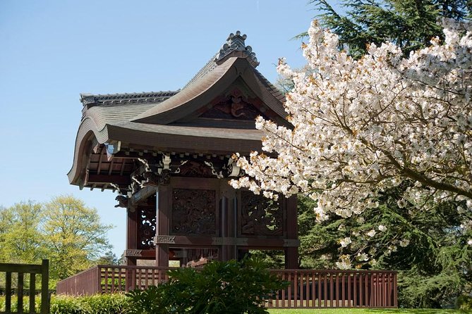 Kew Gardens Entrance Ticket - When to go in London, roses in summer and glasshouse time in winter