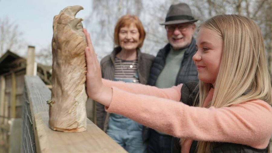 Kingussie: Highland Wildlife Park Entry Ticket - Picnic Spots, Playgrounds, and Where to Eat on Site