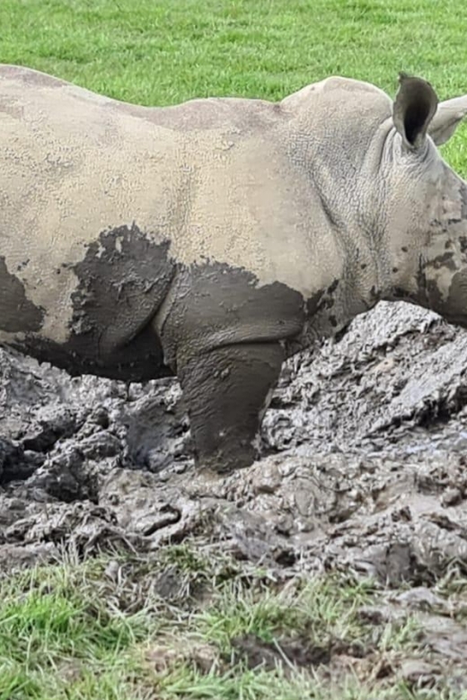 Knowsley: Safari Entry Tickets - Lion and baboon enclosures: the vehicle rules that matter