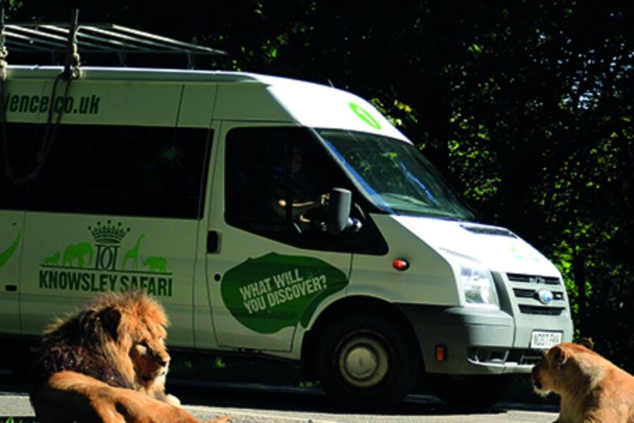 Knowsley: Safari Entry Tickets - The lake walk and displays: a quieter close to a busy animal day