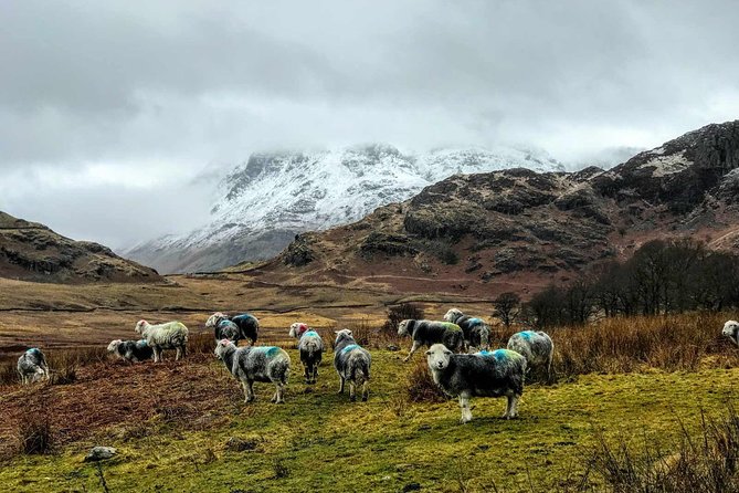 Lake District Adventure Sightseeing Day Trip from Liverpool - Key things that make this day trip work