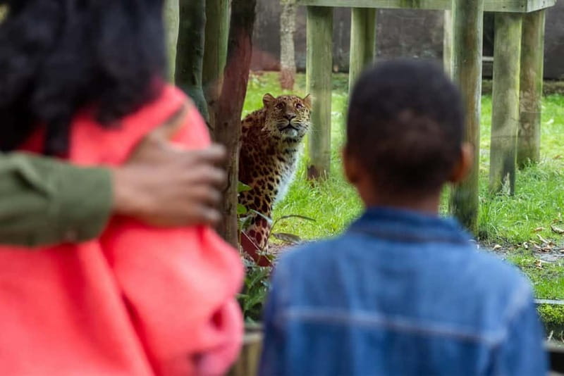 Leicestershire: Twycross Zoo Entry Ticket - Key takeaways before you go
