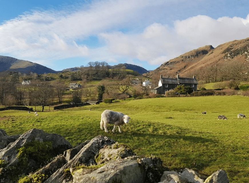 Liverpool: Lake District Tour with Lake Cruise & Train Ride - Starting in Liverpool at 9:00, and why the mini-coach matters