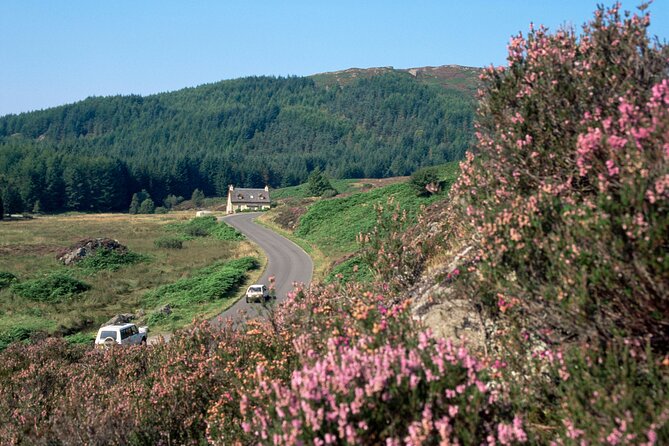 Loch Lomond National Park & Stirling Castle Full Day Tour - Key Things I’d Prioritize Before You Go
