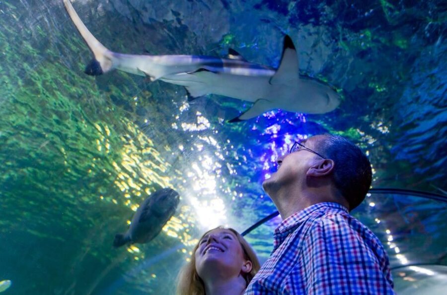 Loch Lomond: Sea Life Entrance Ticket - Price and value: what you are paying for at $19 per person