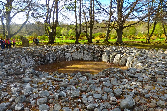 Loch Ness & Culloden Battlefield Private Tour from Inverness - Beauly farm stop at Robertson’s, cows and alpacas as a reset