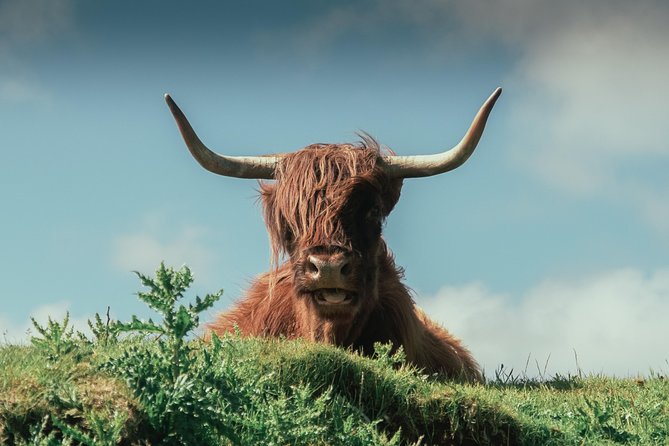 Loch Ness, Glen Coe & The Highlands Day Tour from Edinburgh - Loch Ness at Fort Augustus: Cruise Options, and What to Do With 1 Hour 40 Minutes