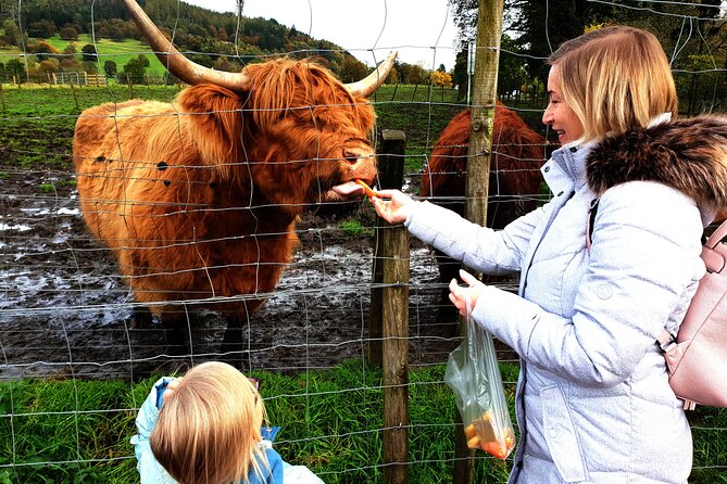 Loch Ness, Glencoe and the Highlands Private Day Tour - A private 12-hour Highlands loop, minus the big-tour stress