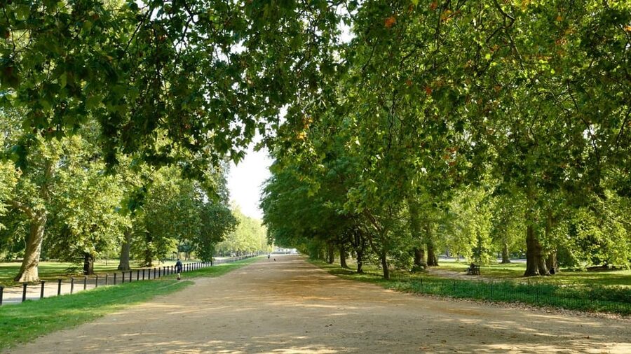 London: 24-Hour Hop-On Hop-Off Bus Pass - Landmarks Tour: Big Ben, Tower of London, and the West End in One Sweep