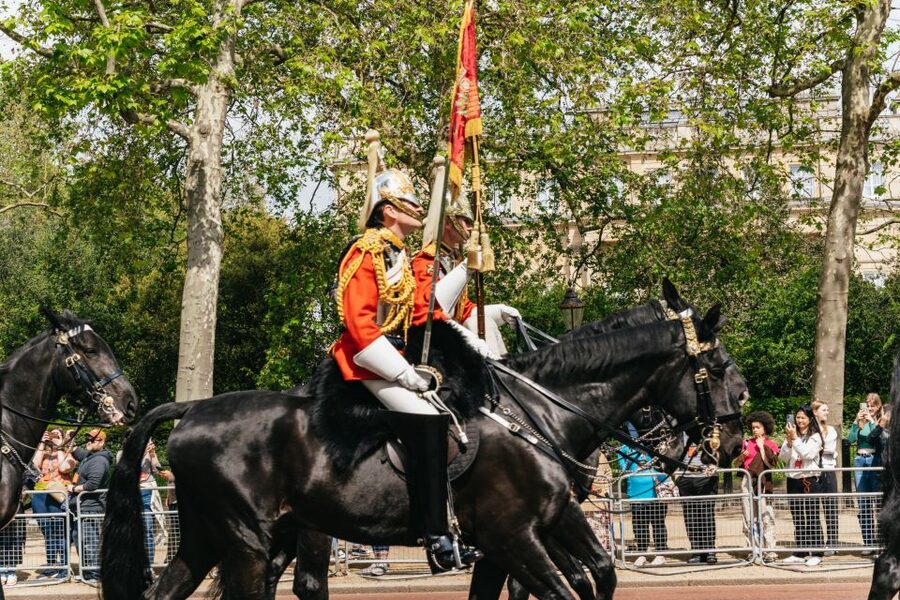 London: Changing of the Guard Tour by Buckingham Palace - The march you actually came for, the rhythm and the details