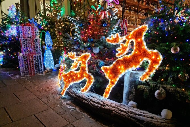 London Christmas Lights Bike Tour with Local Guide - What makes the guide and group size a real part of the value