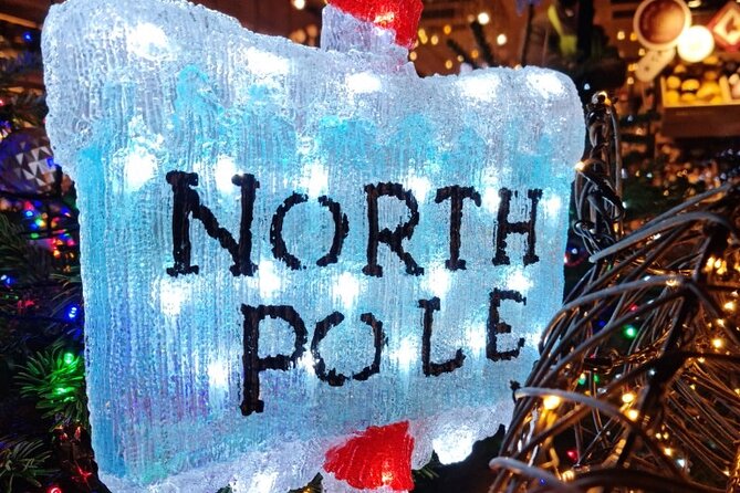 London Christmas Lights Bike Tour with Local Guide - Who should book this tour, and who should pass