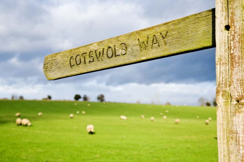 London: Cream Tea at Blenheim Palace & the Cotswolds Tour - Timing, pacing, and how to avoid feeling rushed