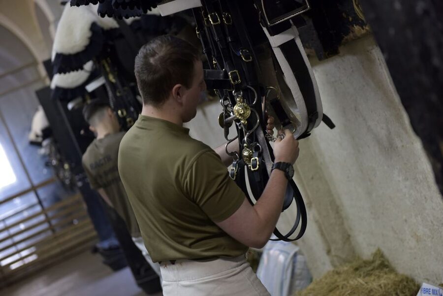 London: Household Cavalry Museum Entry Ticket - Trooper training stories and interactive displays that make it human