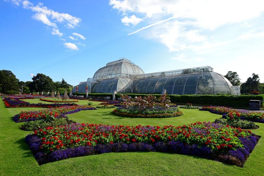 London: Kew Gardens Admission Ticket - Key moments you’ll actually remember