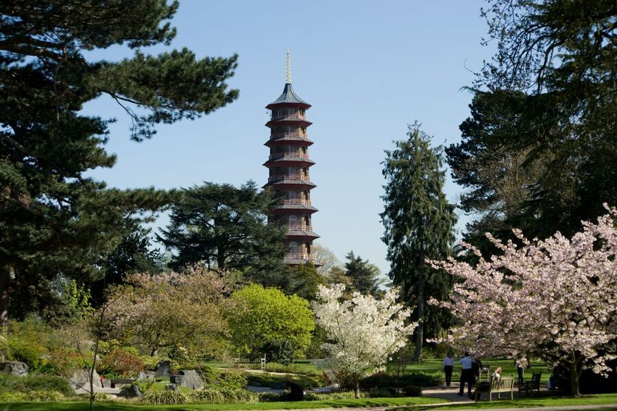 London: Kew Gardens Admission Ticket - Treetop Walkway, 18 meters up and worth the effort