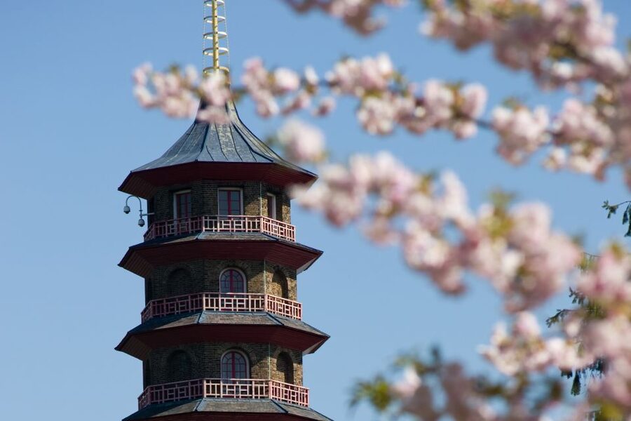 London: Kew Gardens Admission Ticket - One day planning tip, start with the glasshouses
