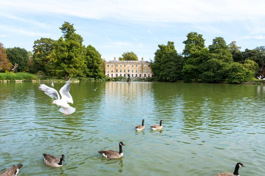 London: Kew Gardens Admission Ticket - Princess of Wales Conservatory, 10 climate zones
