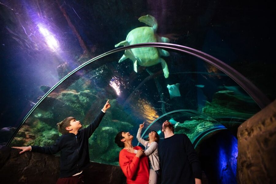 London: Madame Tussauds, London Eye & SEA LIFE Combo Ticket - Madame Tussauds: lifelike stars, plus a surprisingly good photo session