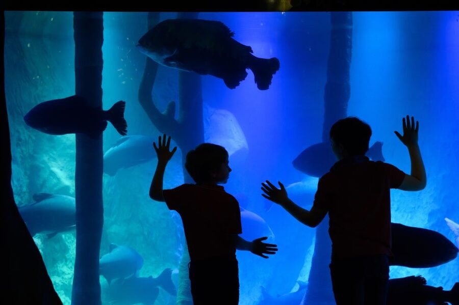London: Madame Tussauds, SEA LIFE and London Dungeon Entry - Key highlights at a glance