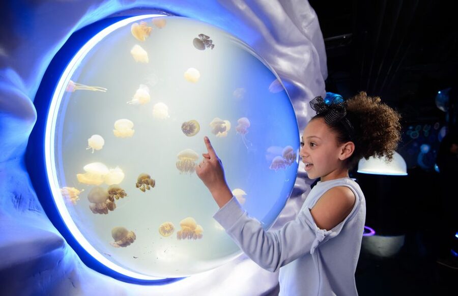 London: Madame Tussauds, SEA LIFE and London Dungeon Entry - A three-attraction London day with less ticket hassle