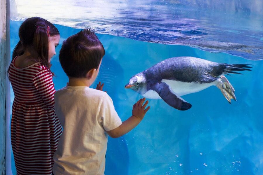 London: Madame Tussauds, SEA LIFE and London Dungeon Entry - SEA LIFE London: 3 floors, 14 zones, and over 500 species