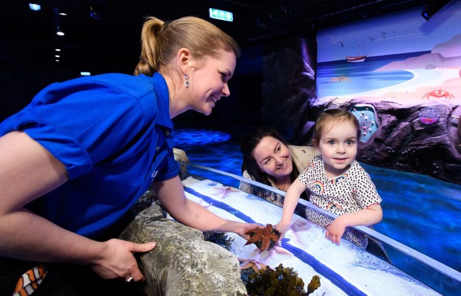 London: Madame Tussauds, SEA LIFE and London Dungeon Entry - Rules you should know: no cameras, cashless Merlin, and planning your moves