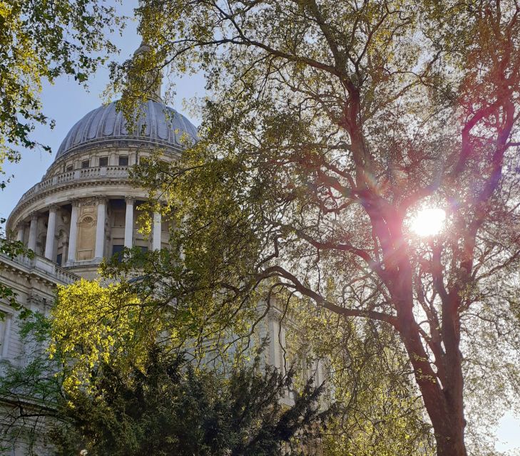London: Medieval History Walking Tour from The Tower - Millennium Bridge and St Paul’s: seeing London’s skyline as a timeline